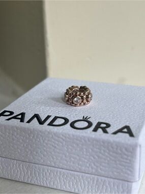 Pandora Rose Gold Spacer